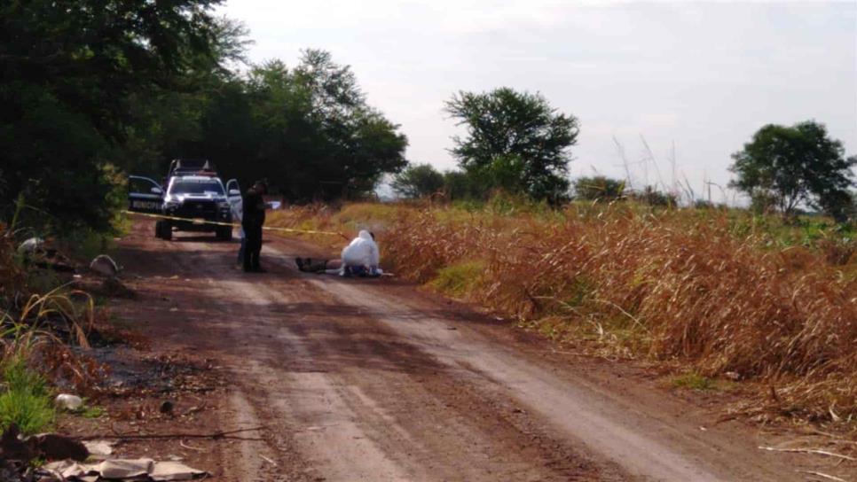 Encuentran hombre sin vida en inmediaciones del seminario de Culiacán