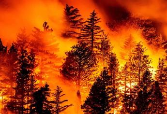 Los fuegos siguen azotando a California y Oregon; hay decenas de desaparecidos