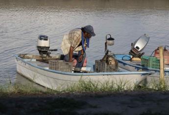 Ribereños pescan 673.82 toneladas de camarón en las primeras 72 horas