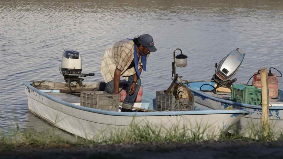 Ribereños pescan 673.82 toneladas de camarón en las primeras 72 horas