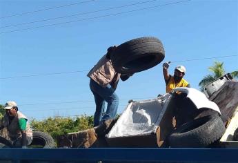 Ayuntamiento recogerá cacharros del sector Barrancos para prevenir el dengue