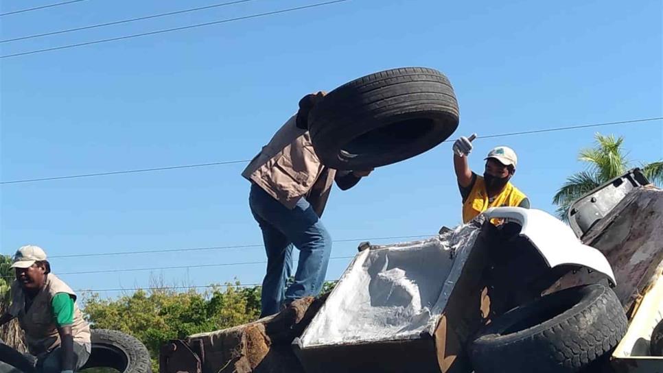 Ayuntamiento recogerá cacharros del sector Barrancos para prevenir el dengue