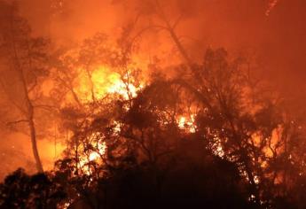 Incendios arrasan la cifra récord de 1,62 millones de hectáreas en California