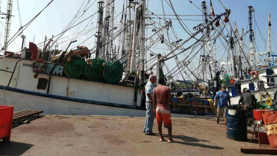 Esperan pescadores levantar anclas en setiembre en busca del camarón