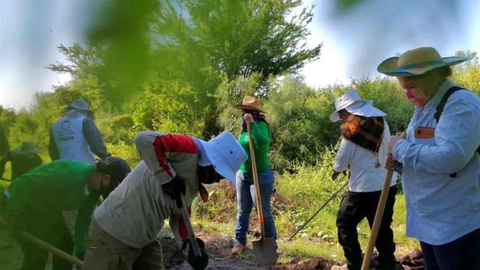 Eliminación de fondos también afectará a colectivos de búsqueda