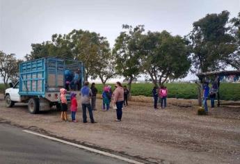 Pandemia podría incrementar el trabajo infantil