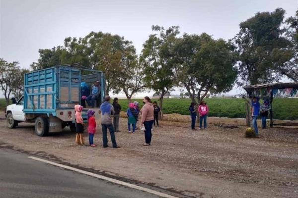 Pandemia podría incrementar el trabajo infantil