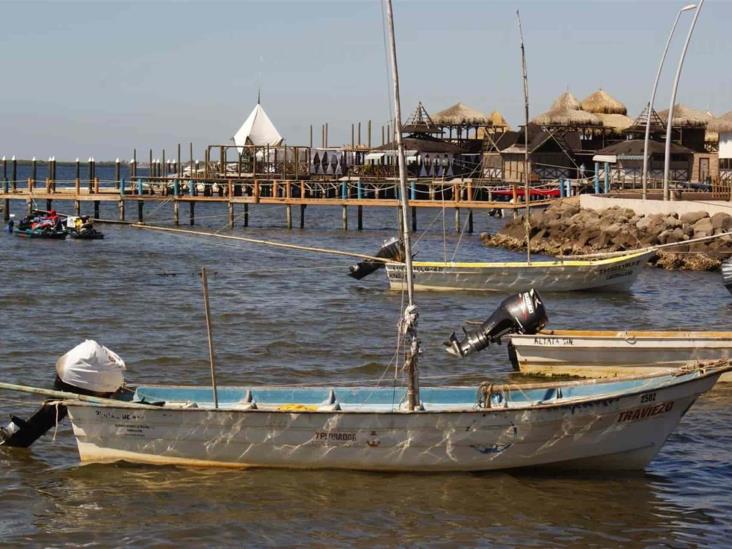 Temporada camaronera 2020 no es redituable: pescadores de Altata Temporada camaronera 2020 no es redituable: pescadores de Altata