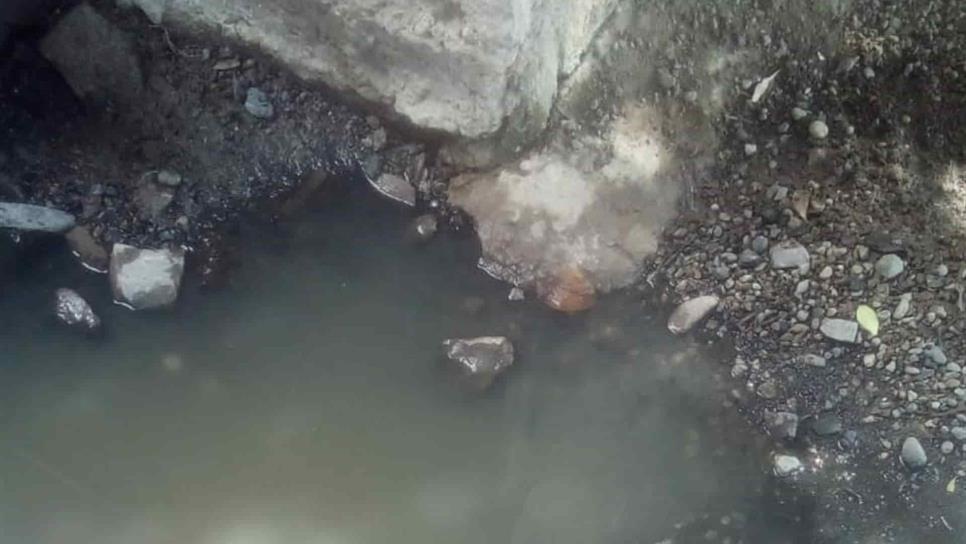 Entre aguas negras y malos olores viven vecinos de la Estación Vieja en Topolobampo