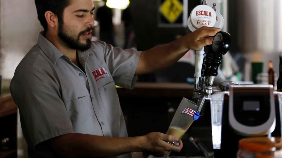 Buscan «legalizar» la cerveza artesanal en Sinaloa