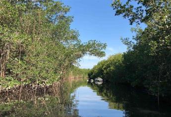 En riesgo empleo en zonas rurales ante recortes para medio ambiente