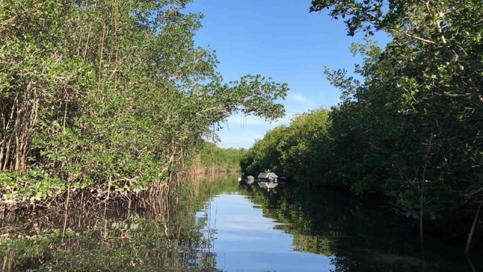 En riesgo empleo en zonas rurales ante recortes para medio ambiente