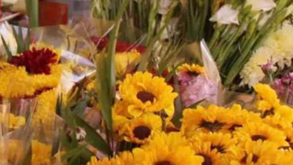 Garantizado el abasto de flores para Día de Muertos