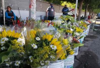 Día de Muertos “ruino”, esperan los floristas en Ahome