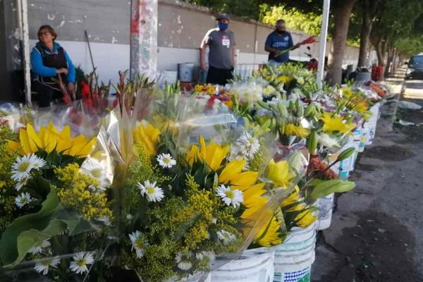 Día de Muertos “ruino”, esperan los floristas en Ahome