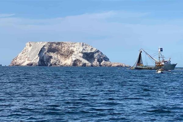 Topolobampo es el único puerto donde han detectado pesca ilegal