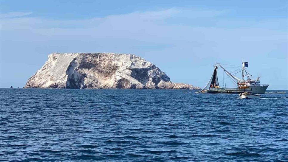 Topolobampo es el único puerto donde han detectado pesca ilegal