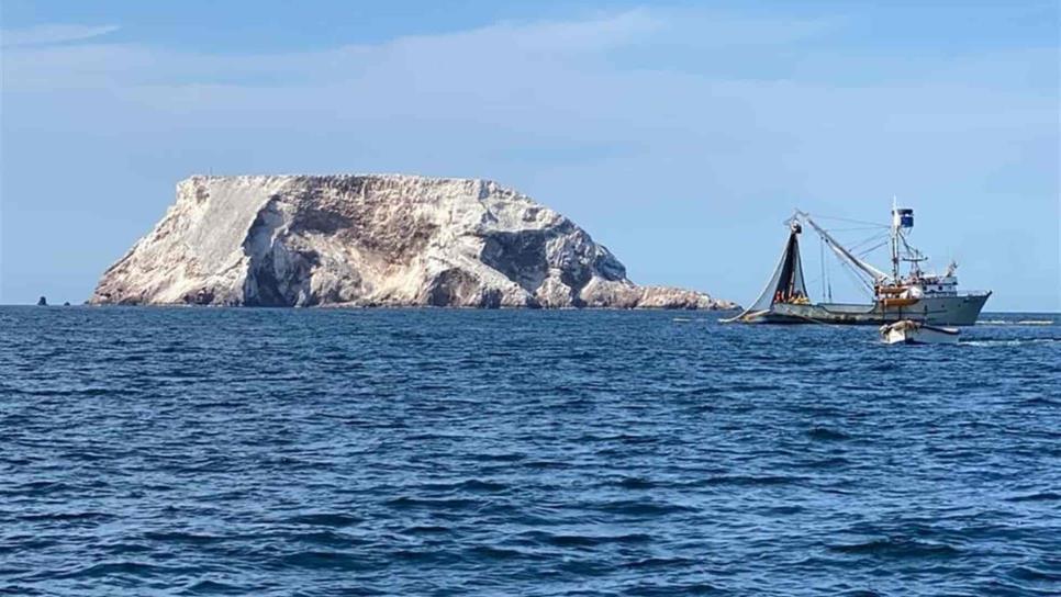 De nuevo detectan pesca ilegal en área protegida de El Farallón