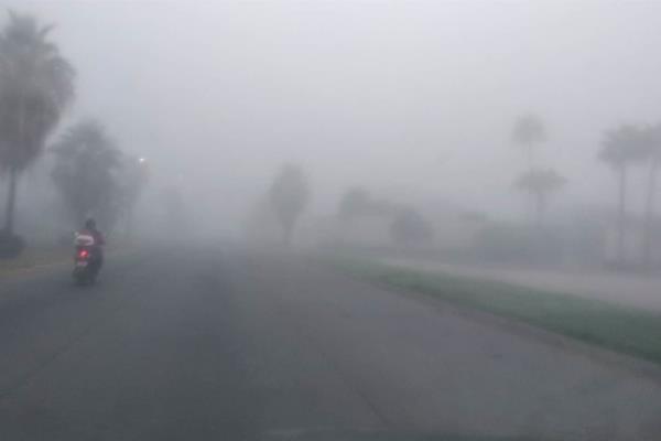 Llama SSyPC a conducir con precaución por neblina densa