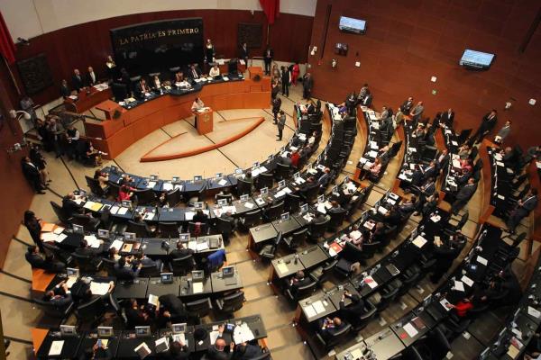 «Antes del 15 de diciembre debemos regular el uso de cannabis»: Imelda Castro