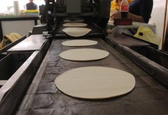 Anuncian posible aumento en la tortilla en Sinaloa