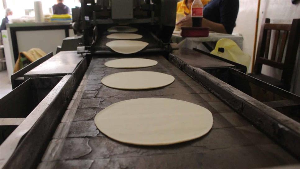 Anuncian posible aumento en la tortilla en Sinaloa