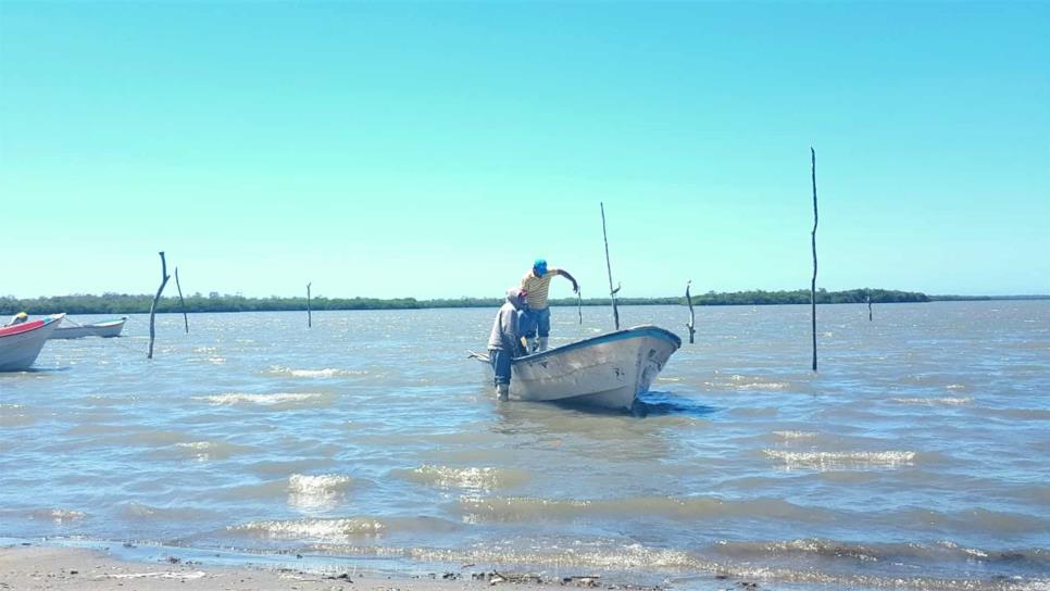 En una semana inicia el pago de Bienpesca en Sinaloa