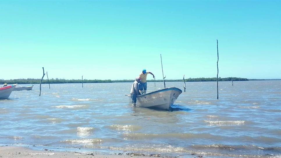 Dan de baja a pescadores «falsos» del Bienpesca; había hasta personal de limpieza