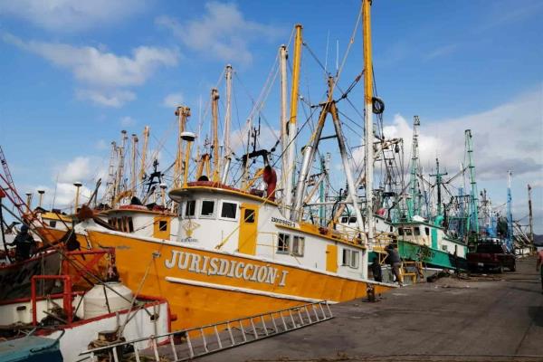Pocas capturas y diésel caro, armadores amarrarán más barcos