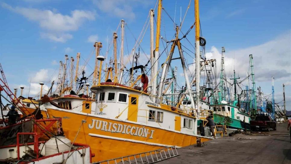 Pocas capturas y diésel caro, armadores amarrarán más barcos