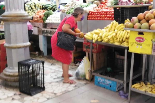 Comerciantes cumplen con cambio de bolsas de plástico por biodegradables