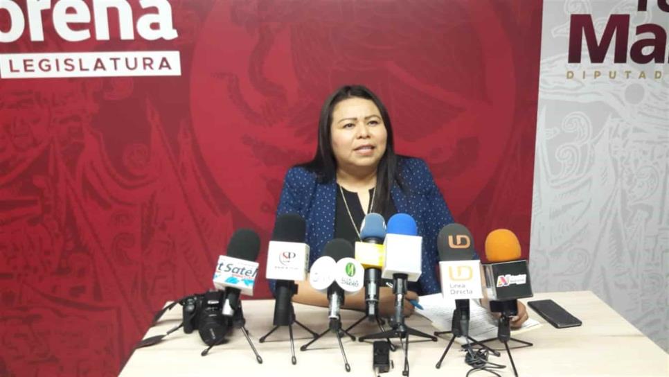 Morena debe realizar sus propias encuestas rumbo al 2021: Yadira Santiago