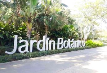 Jardín Botánico florece a pesar de la pandemia