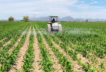 Fertilizantes son prioritarios para agricultura: Ramón Osuna