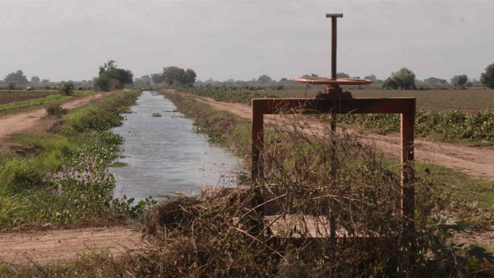 Módulos de riego se comprometen con el cuidado del agua