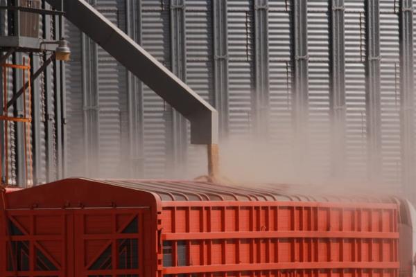 Ejercerán acciones legales contra saqueadores de bodegas de Estación Francisco