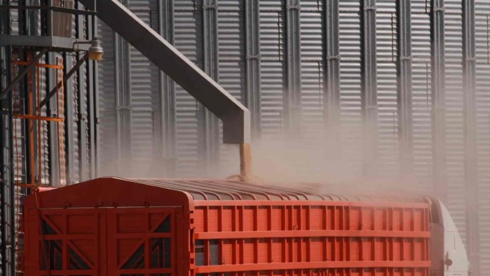 Ejercerán acciones legales contra saqueadores de bodegas de Estación Francisco