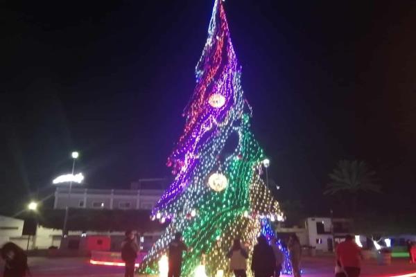 Encienden el pino navideño para el disfrute de las familias de Ahome
