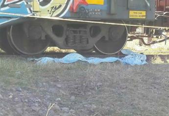 Tren arrolla y mata a “trampa” en San Blas, El Fuerte