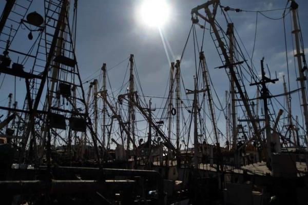 Altos precios de diésel marino pueden provocar “un cementerio de barcos”