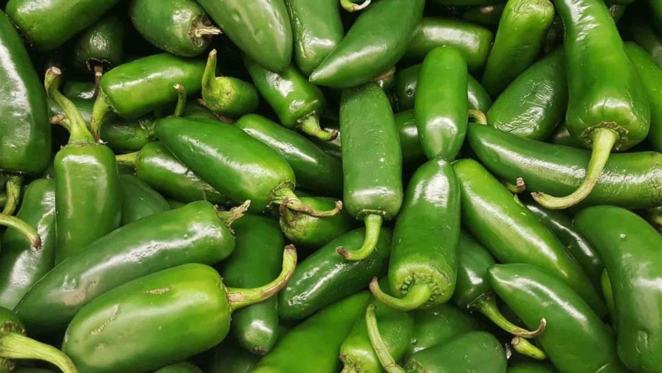Precios de chiles empiezan a “recuperarse
