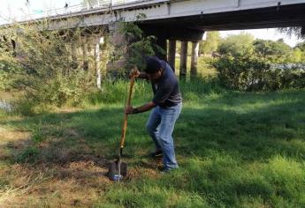 Buscan plantar mil árboles en todo Culiacán