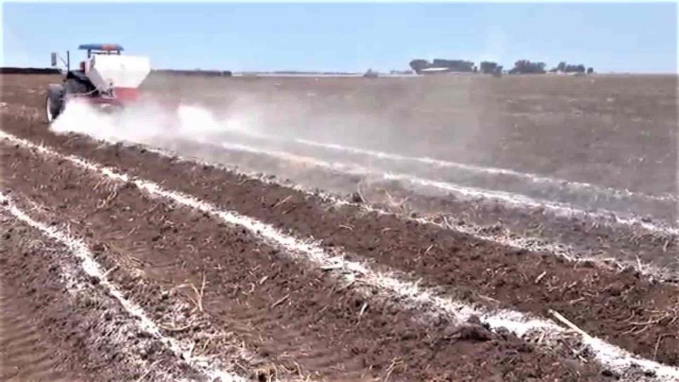 Listos agricultores para decir sí a planta de fertilizantes: Rojo Plascencia