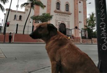 Se suman en Mazatlán a colecta de llaves para estatua del “Capitán”, de Culiacán