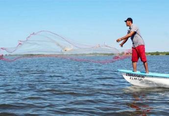 Pescadores recibirán este año apoyo para motores marinos y gasolina