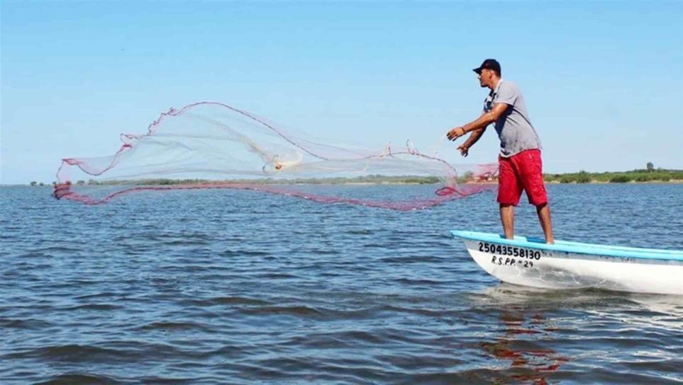 Pescadores recibirán este año apoyo para motores marinos y gasolina