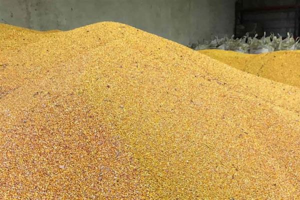 Demanda de maíz para etanol beneficia precios es los granos
