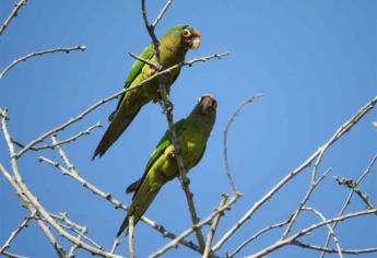 Apoya SEDESU certificación de Área Destinada Voluntariamente a la Conservación