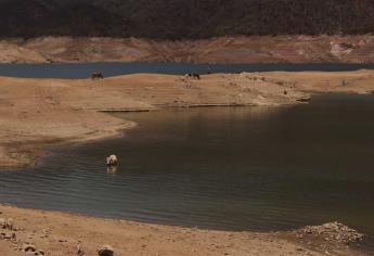 Presa Huites espera aportaciones por recientes lluvias: Conagua