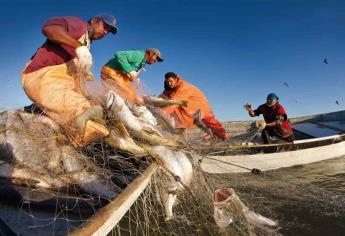 Estiman crecimiento del 15% en la producción pesquera y acuícola del país